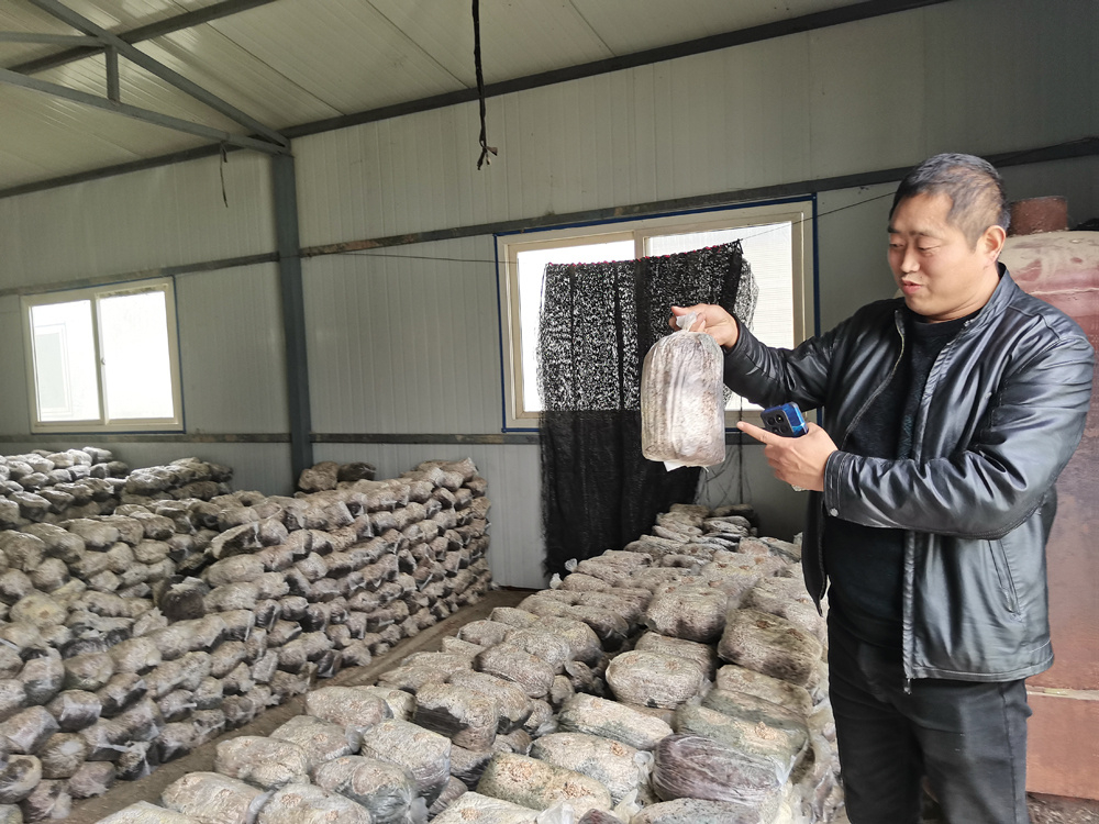 陜西山陽縣中村鎮(zhèn) “幸福路”通到群眾家門口 業(yè)務培訓進田間